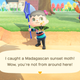 Illustration for article titled I Finally Found A Bug Blathers Doesn’t Hate In iAnimal Crossing: New Horizons/i